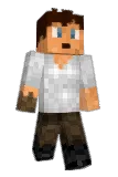 Lankiee Minecraft avatar full body