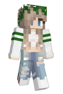 Larry0505 Minecraft avatar full body