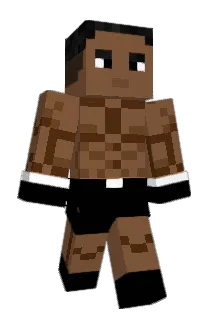 LarrytheRaccon Minecraft avatar full body