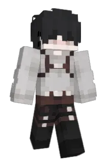 Larz14 Minecraft avatar full body