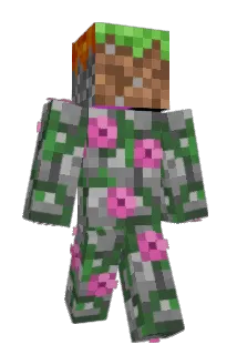 Launcher_Icons Minecraft avatar full body