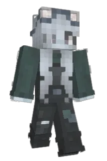 Laustissa Minecraft avatar full body