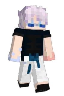 LavaSocks5 Minecraft avatar full body