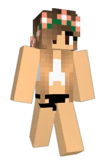 Lazercorn101 Minecraft avatar full body