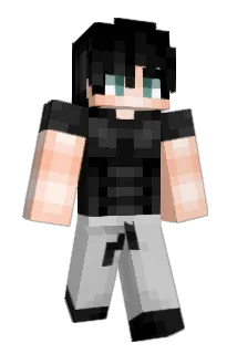 LeBonBro Minecraft avatar full body