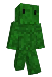 LeBushy Minecraft avatar full body
