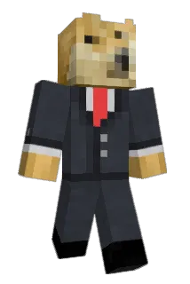 LeCoolDoge Minecraft avatar full body