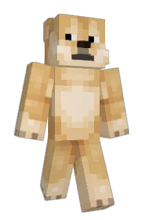 LeDoge_ Minecraft avatar full body
