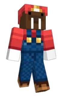 LeMorze Minecraft avatar full body