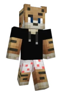 LeZigi Minecraft avatar full body