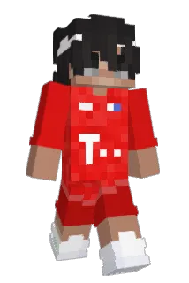 LeaT_T Minecraft avatar full body