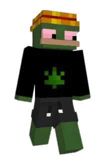 LeanSippinFrog Minecraft avatar full body