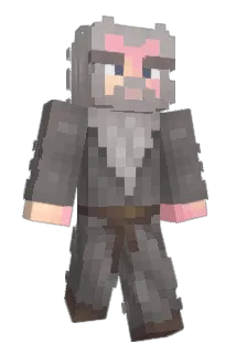 LearningCraft Minecraft avatar full body