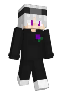 Lebhaftiger Minecraft avatar full body