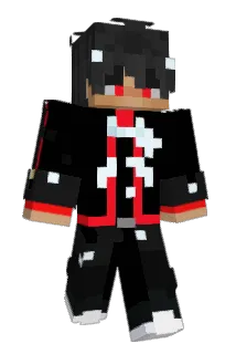 Ledistintop Minecraft avatar full body