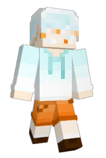 LeeBirth Minecraft avatar full body