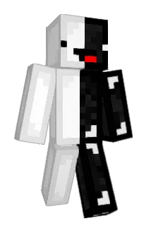 LeeNR6S Minecraft avatar full body