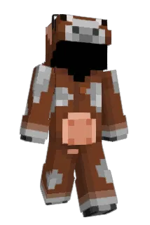 LeeOnami Minecraft avatar full body