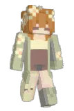 Leedium Minecraft avatar full body