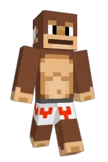 LeekStarr Minecraft avatar full body