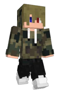 Leemer Minecraft avatar full body