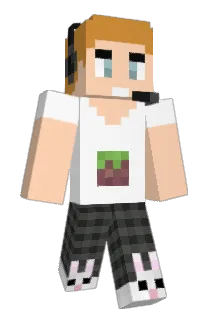 LegoMitch9 Minecraft avatar full body