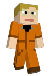 LegoPersonal Minecraft avatar full body