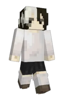 Leikilin Minecraft avatar full body