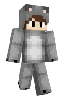 Leinir Minecraft avatar full body