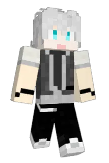 Leisures9 Minecraft avatar full body