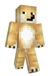 Lemonberries456 Minecraft avatar full body