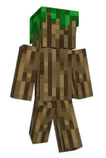 LennWood Minecraft avatar full body