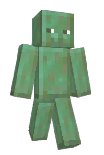 LeoRadis Minecraft avatar full body