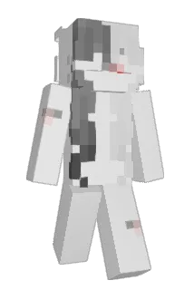 Leokartauto Minecraft avatar full body
