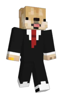 Leozin4199 Minecraft avatar full body