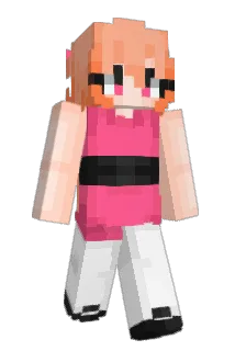 Lettola Minecraft avatar full body