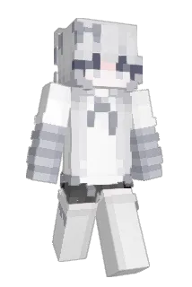 Levy441 Minecraft avatar full body