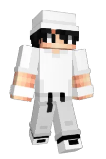 Lgus Minecraft avatar full body