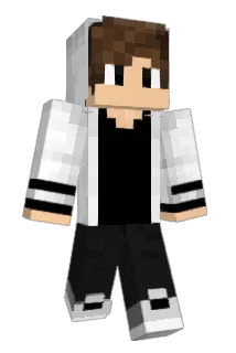 Li360 Minecraft avatar full body