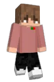 Liddss Minecraft avatar full body