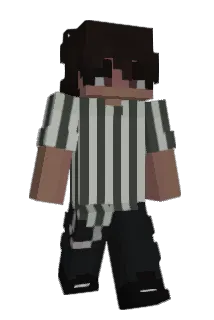 Lidiot Minecraft avatar full body