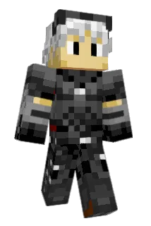 Lifelink Minecraft avatar full body