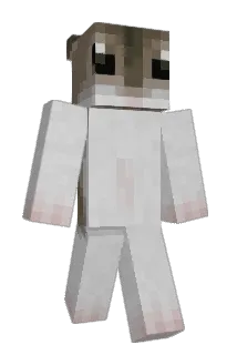 Light0212 Minecraft avatar full body