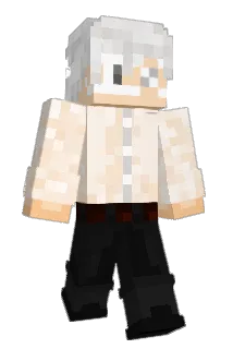 Light571 Minecraft avatar full body
