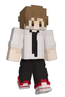 Light65 Minecraft avatar full body