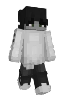 Liied Minecraft avatar full body