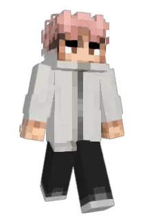 LilBirdJJ Minecraft avatar full body