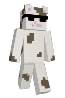 LilWiseCat Minecraft avatar full body
