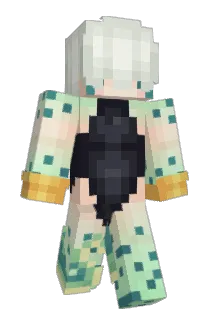 Lil_Dill Minecraft avatar full body