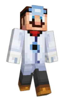 Lil_W Minecraft avatar full body